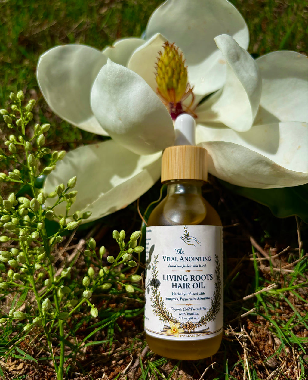 Living Root Hair Oil